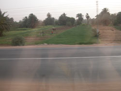 Вид из окна поезда Асуан-Каир